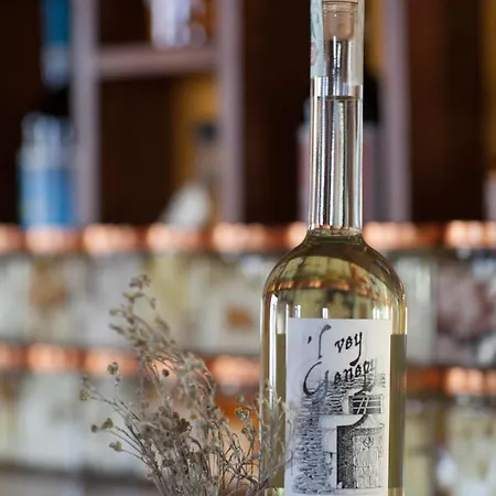 A Nostro Mizoun Alloggio per agriturismo Ostana