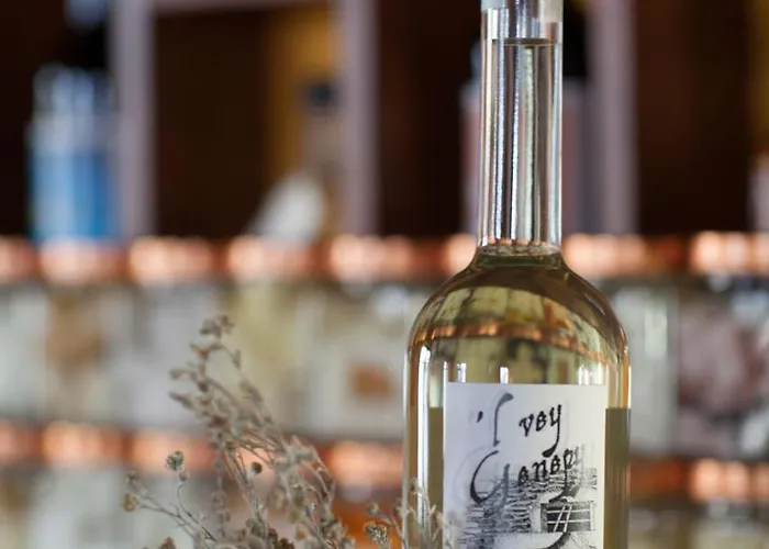 A Nostro Mizoun Alojamento de Turismo Rural Ostana