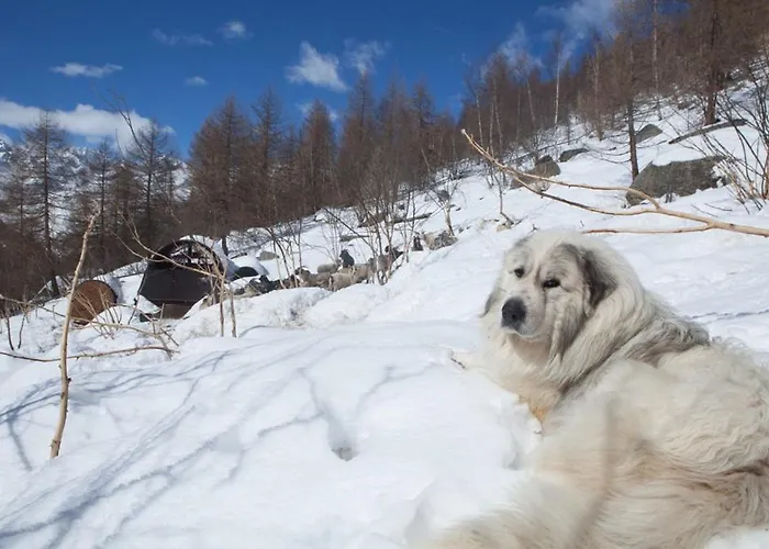 A Nostro Mizoun Ostana